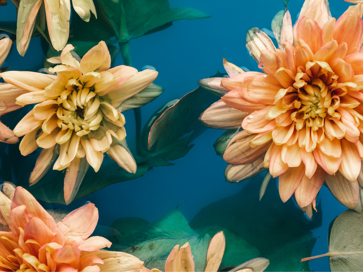 The art of layering perfumes